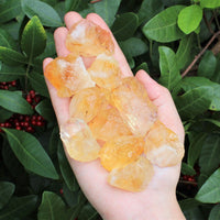 Citrine Rough Crystals: Choose How Many Pieces (Raw Citrine)