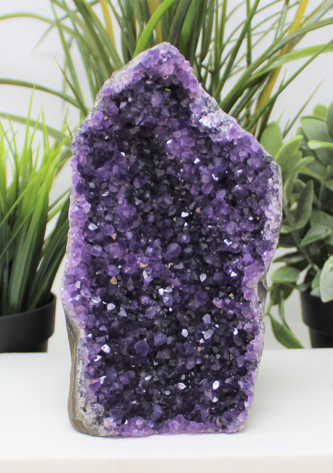 Stunning HUGE Amethyst Cut Base Cluster Crystal Quartz Geode 2 lb - 3 lb