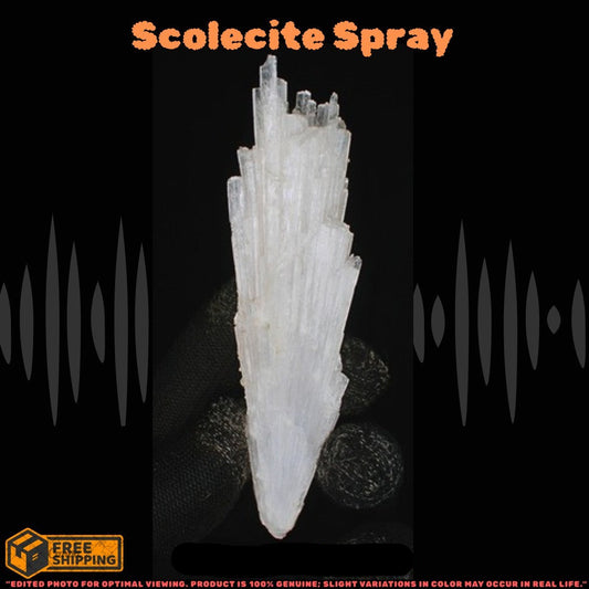 Natural Scolecite Cluster 26g Raw White Zeolite Mineral from India