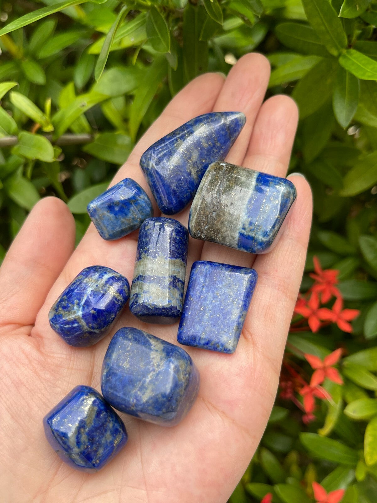 Grade A++ Lapis Lazuli Tumbled Stone, 0.65-1.5 Inch Lapis Crystal,Wholesale Bulk