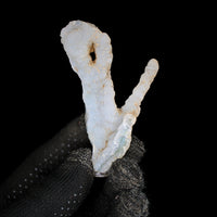 Natural Coral Mineral Cluster 30g Rare Fossil Specimen Collector Piece