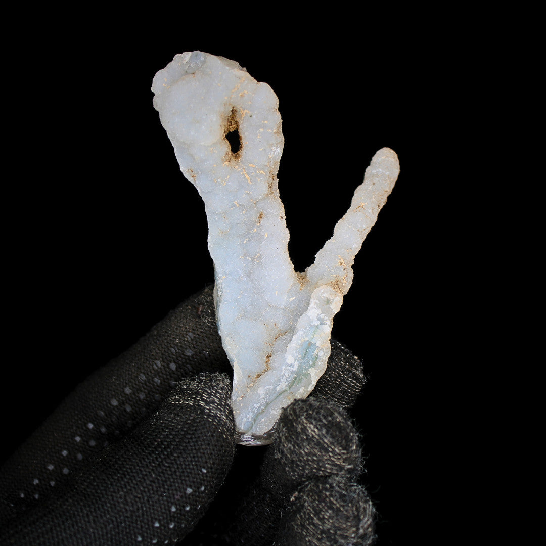 Natural Coral Mineral Cluster 30g Rare Fossil Specimen Collector Piece