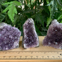 Amethyst Cluster, Amethyst Geode From Uruguay Cut Base, Pick a Size