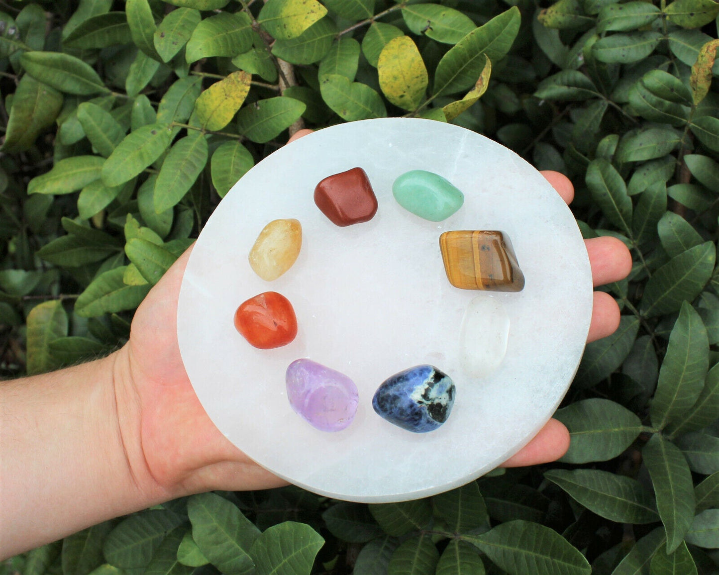 Selenite Charging Station – 6" Round Polished Plate | Large Crystal Charging