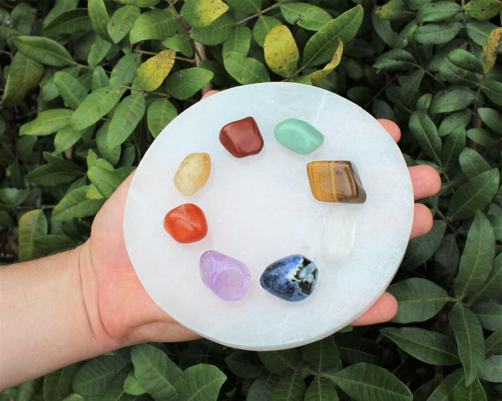 Selenite Charging Station – 6" Round Polished Plate | Large Crystal Charging