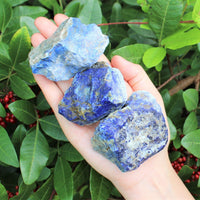 LARGE Rough Lapis Lazuli Chunks, 2" - 3" (Blue Raw Crystal Gemstone Specimen)