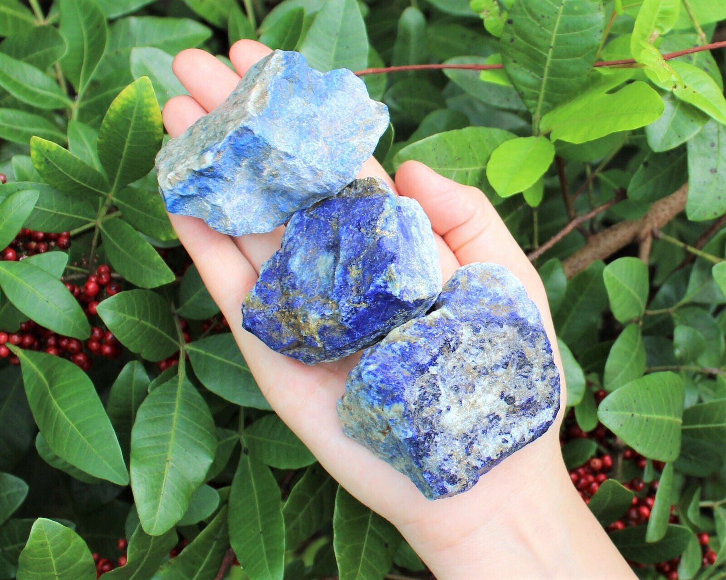 LARGE Rough Lapis Lazuli Chunks, 2" - 3" (Blue Raw Crystal Gemstone Specimen)