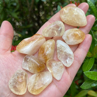 1/2 Lb Lot Tumbled Stones, 0.75-1.25" Crystal Healing Stones, Choose Stone Type