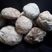 5 lbs Premium Kentucky Uncut Geodes Agates Nodules Lapidary Quartz Crystals Sale