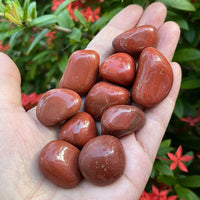 Grade A++ Red Jasper Tumbled Stones, 0.8"-1.25" Tumbled Red Jasper,Pick How Many