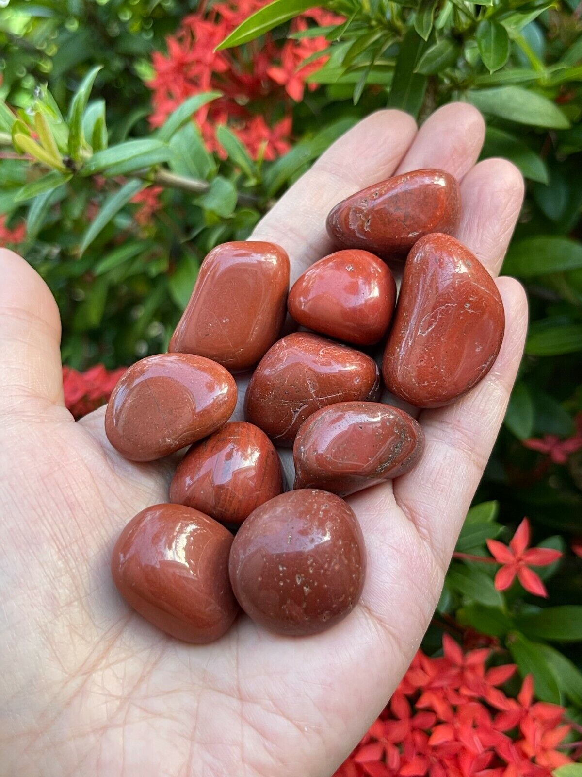 Grade A++ Red Jasper Tumbled Stones, 0.8"-1.25" Tumbled Red Jasper,Pick How Many