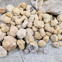 Break Your Own Geodes Unbroken Quartz Crystal Geode with Sparkly Crystals Inside