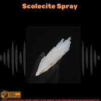 Natural Scolecite Crystal 12g White Zeolite Mineral from India