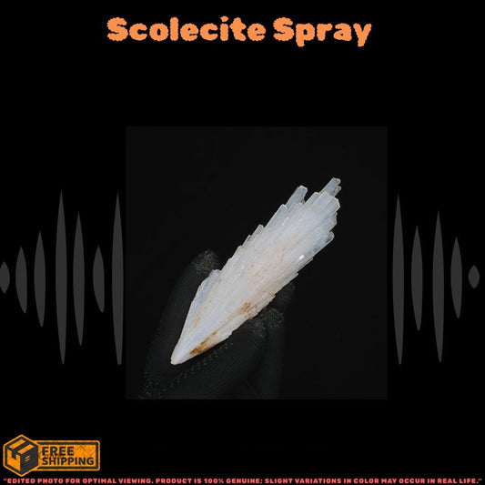 Natural Scolecite Crystal 12g White Zeolite Mineral from India