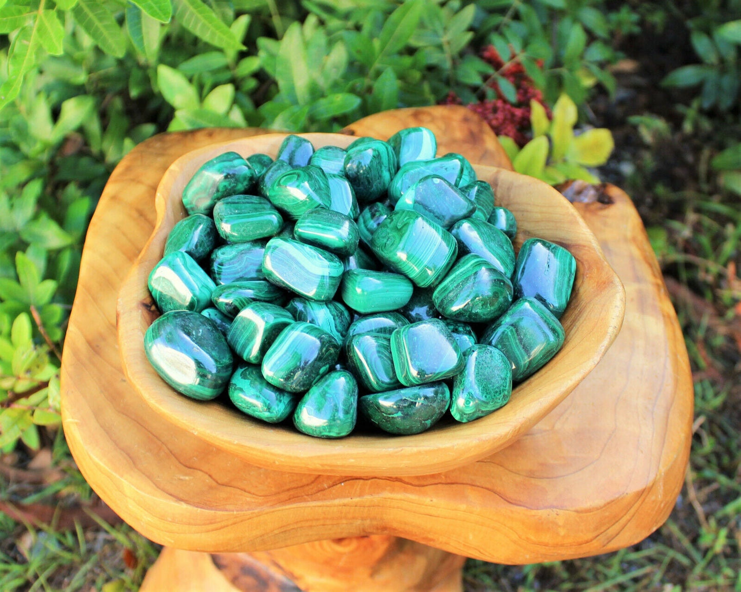 5 MEDIUM Malachite Tumbled Stone (Crystal Healing Reiki Gemstone Metaphysical)