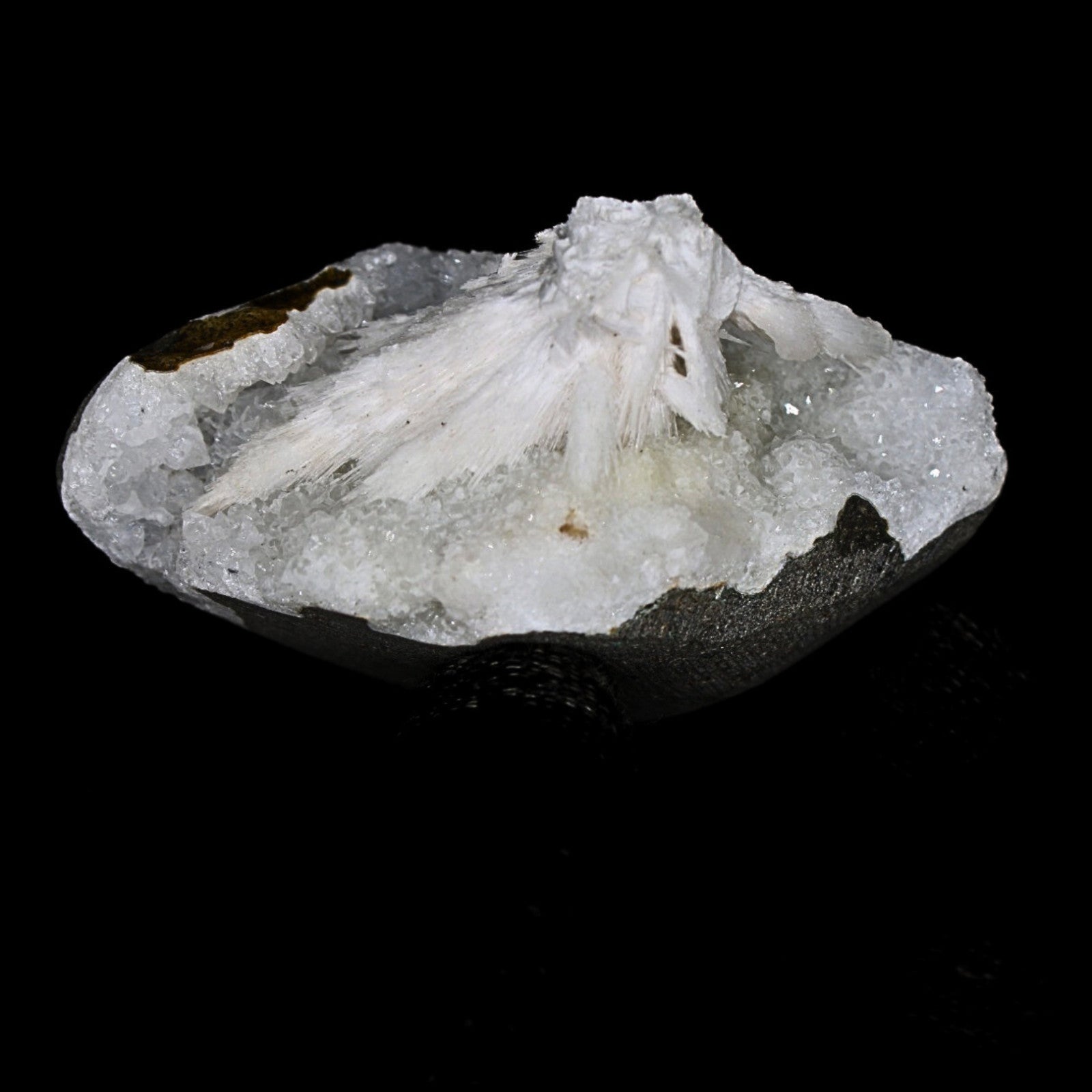 Natural Scolecite Geode Spray 156g | Zeolite Mineral Cluster from India 7x6cm