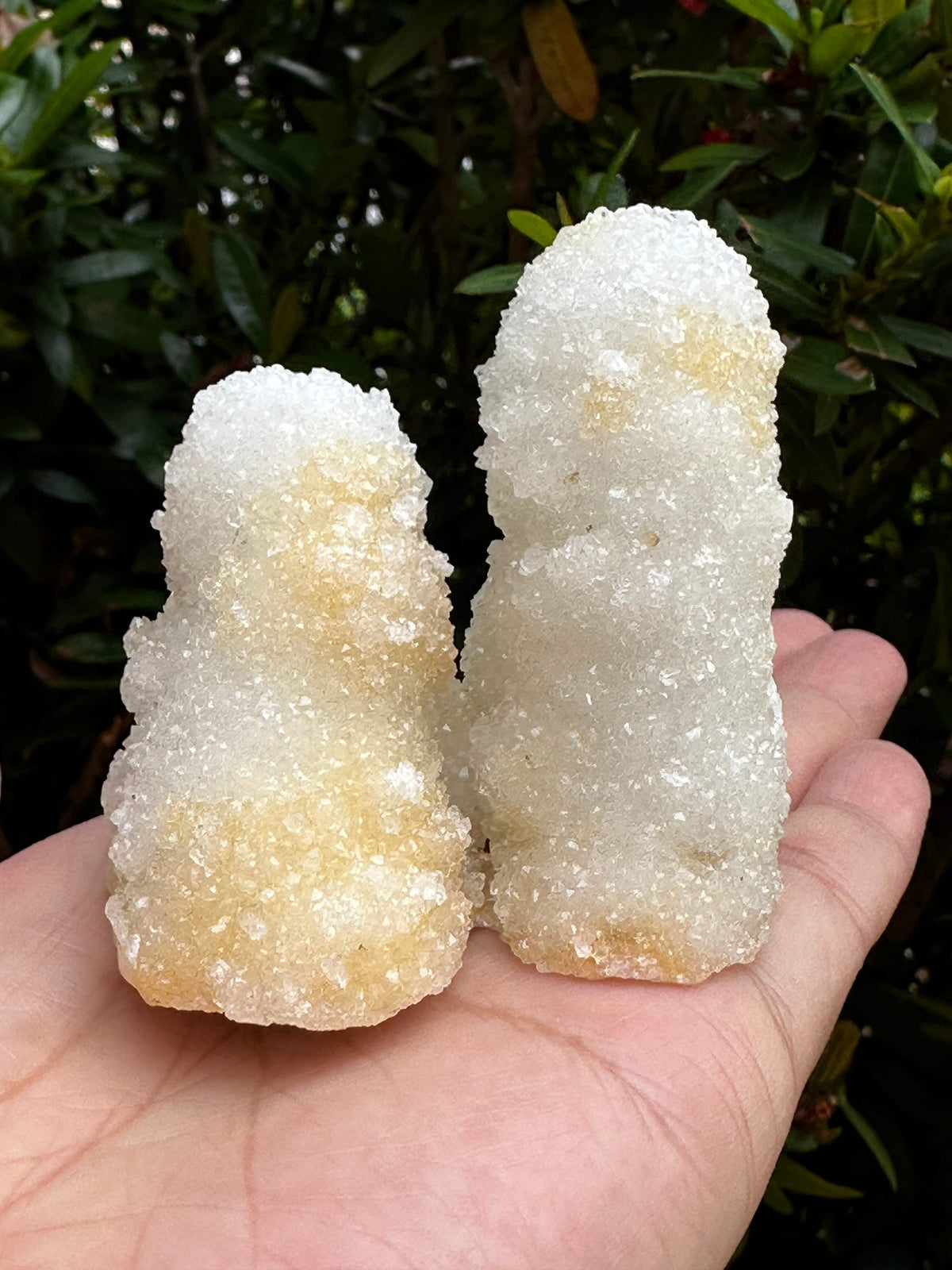 Chalcedony & Crystal Quartz Stalactite, Quartz on Chalcedony Stalactite Specimen