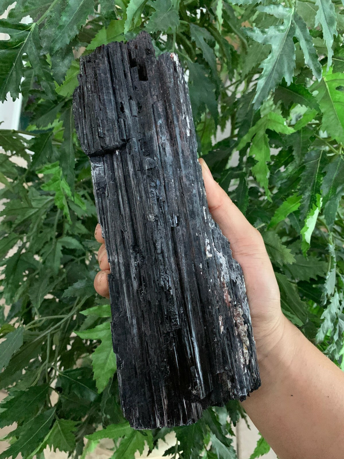 Extra Large Black Tourmaline Chunk / Rod / Log, Natural Rough Black Tourmaline