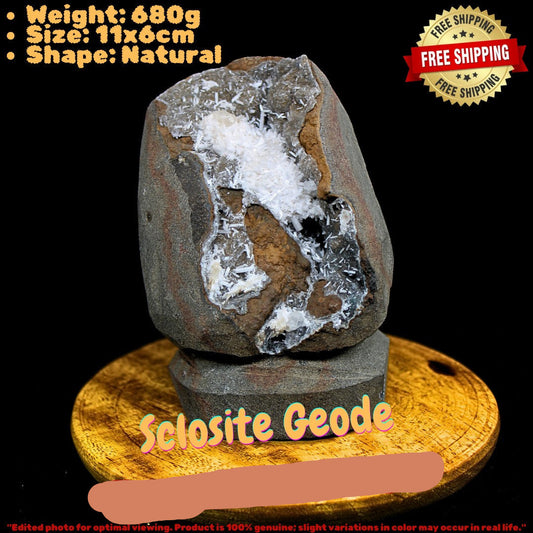 Rare Standing Scolecite Spray 680g Large Mineral Specimen Zeolite India