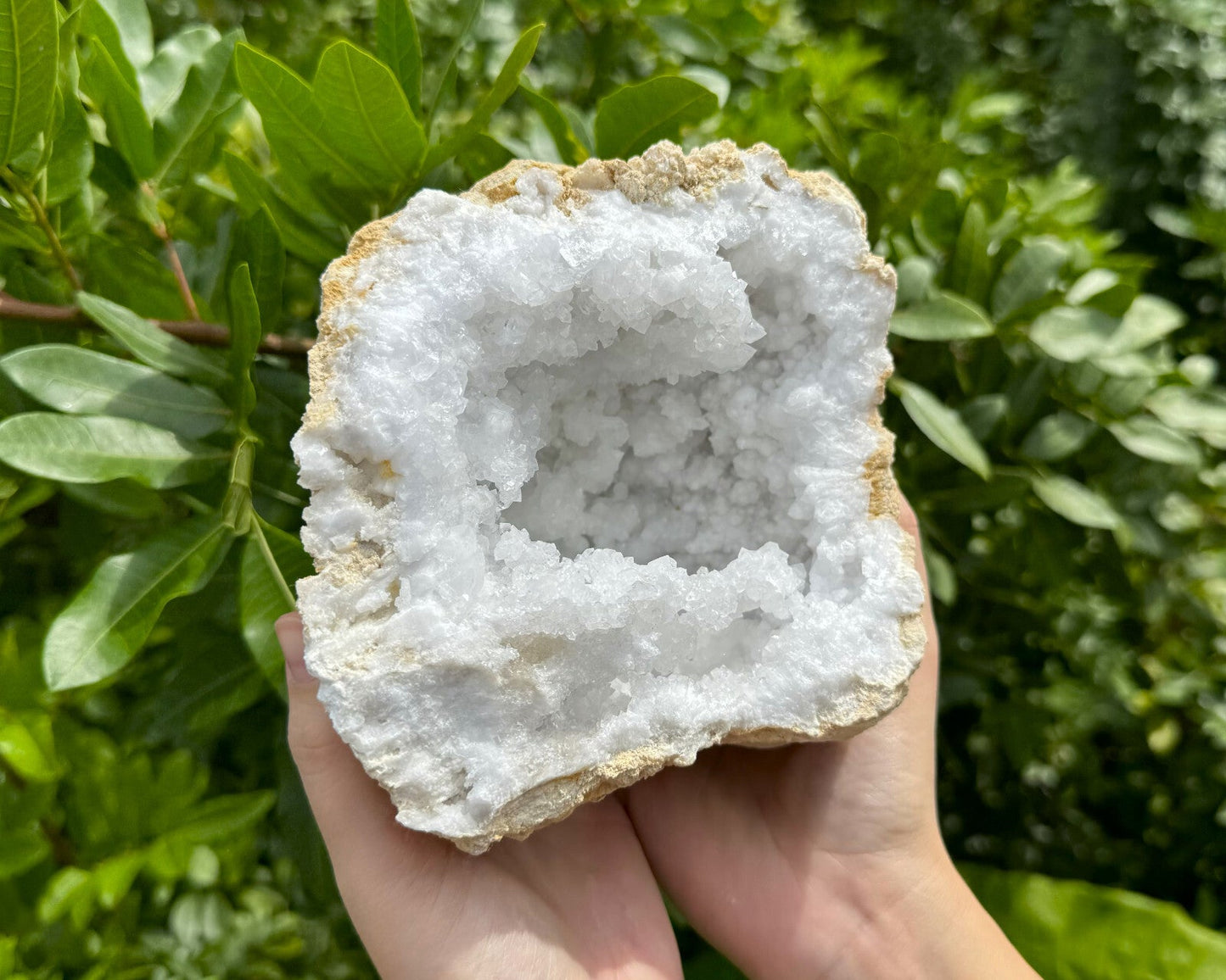 MASSIVE Sugar Quartz Geodes - Natural Crystal Geode Specimens From Morocco