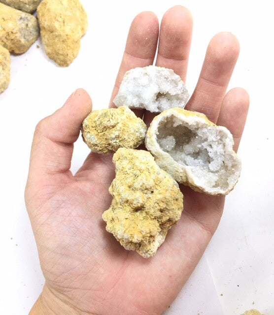 40 Break Your Own Geodes Quartz Crystals Druzy Bulk Pack - Whole Moroccan 1.5