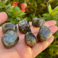 1/2 Lb Lot Tumbled Stones, 0.75-1.25" Crystal Healing Stones, Choose Stone Type