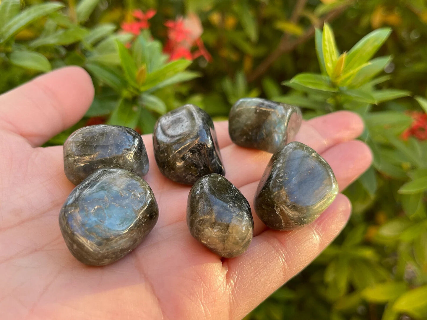 1/2 Lb Lot Tumbled Stones, 0.75-1.25" Crystal Healing Stones, Choose Stone Type