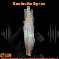 Rare 30g Natural Scolecite Cluster Mineral Specimen Raw White Crystal India