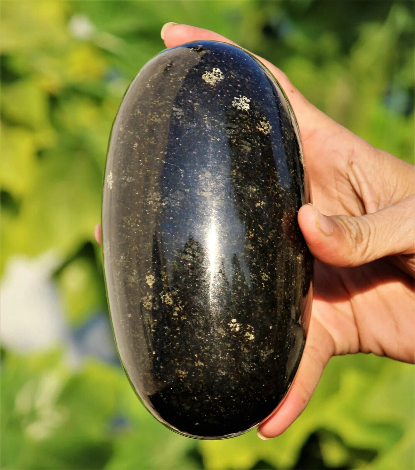 155MM Black Nuummite Crystal Healing Energy Reiki Aura Metaphysical Stone Lingam