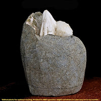 180g Scolecite Geode India Rare Needle Crystal Mineral Specimen