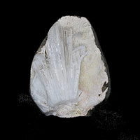 Natural Scolecite Geode 110g Raw Crystal Healing Mineral from India