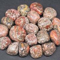 8 oz or 1 lb Tumbled Stones Bulk Lots: Huge Choice (Crystal Healing, Bulk Lots)