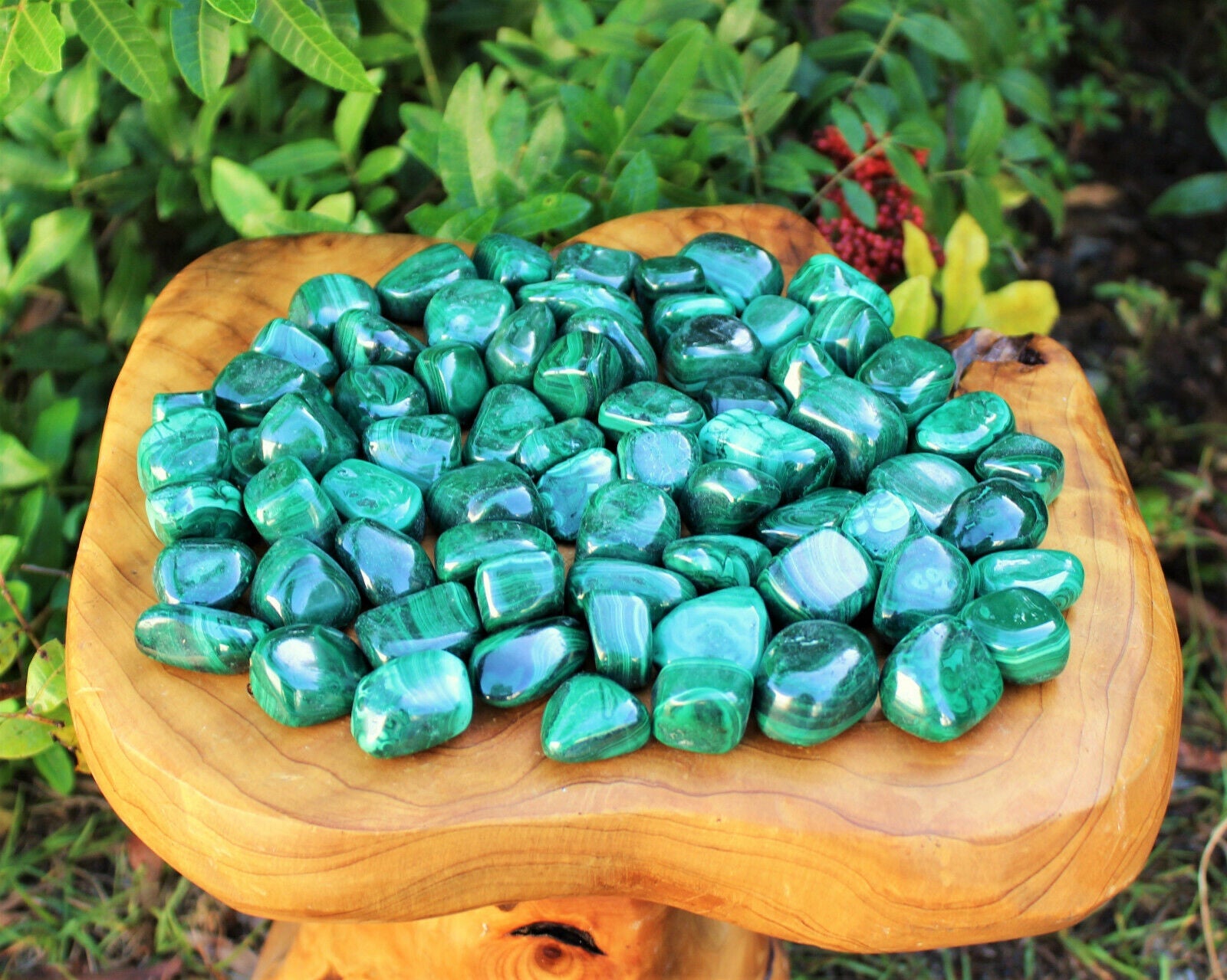 5 MEDIUM Malachite Tumbled Stone (Crystal Healing Reiki Gemstone Metaphysical)