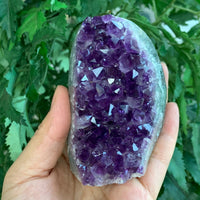 Finely Polished Uruguay Deep Purple Amethyst Cluster Crystal Geode, Pick a Size