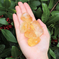 Citrine Rough Crystals: Choose How Many Pieces (Raw Citrine)