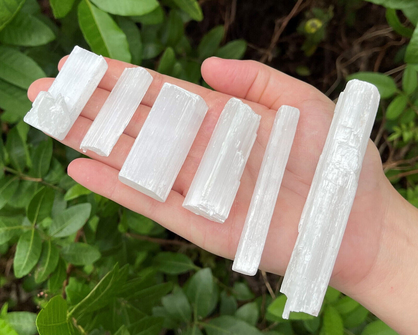 BULK 1/2 lb Lot Selenite Logs Crystal Sticks Wand Blades Shardes CLEARANCE 8 oz