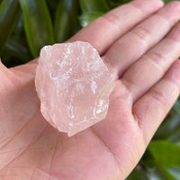 Rose Quartz Rough Natural Stones, 1.25-2" Raw Rose Quartz, Wholesales Bulk Lot