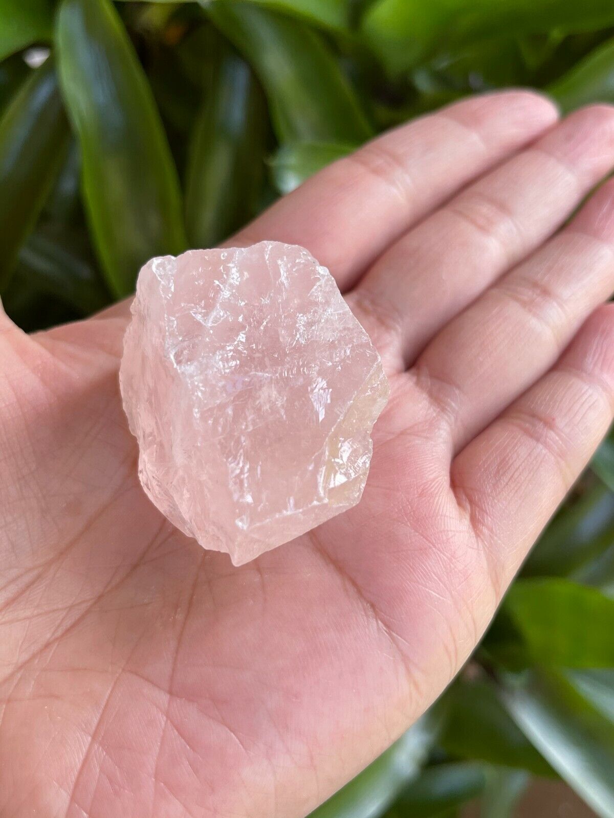 Rose Quartz Rough Natural Stones, 1.25-2" Raw Rose Quartz, Wholesales Bulk Lot