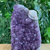 Amethyst Cluster, Amethyst Geode From Uruguay Cut Base, Pick a Size