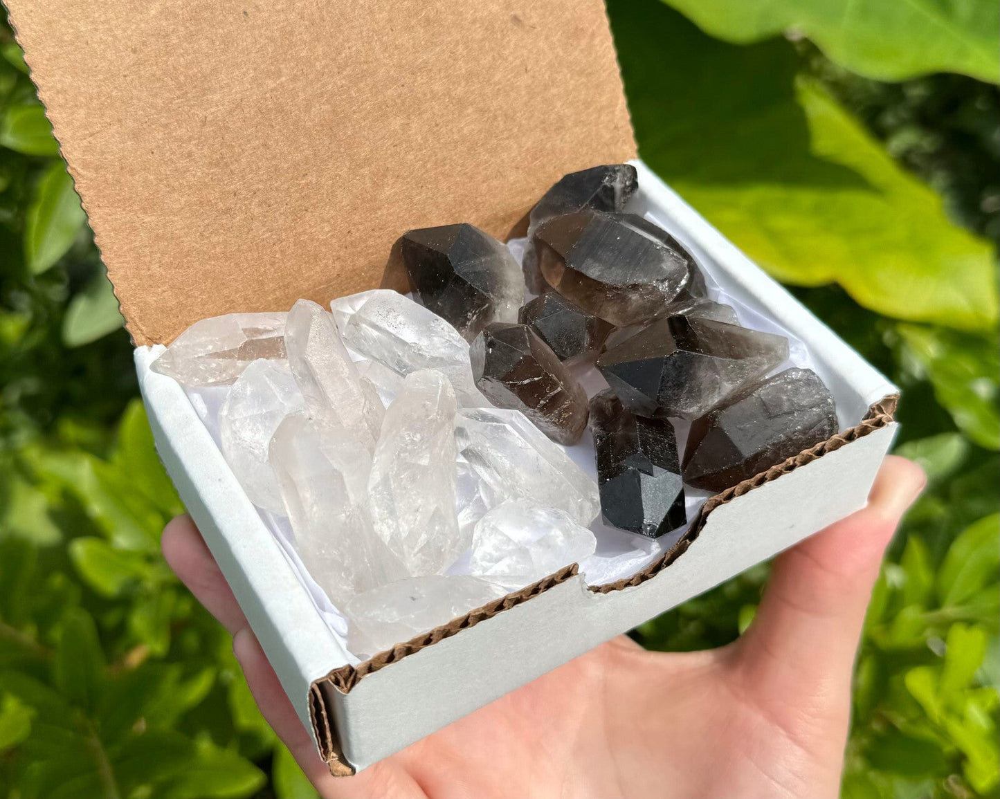 1/2 lb Bulk Smoky Quartz & Clear Quartz Crystal Collection Box (Natural Points)