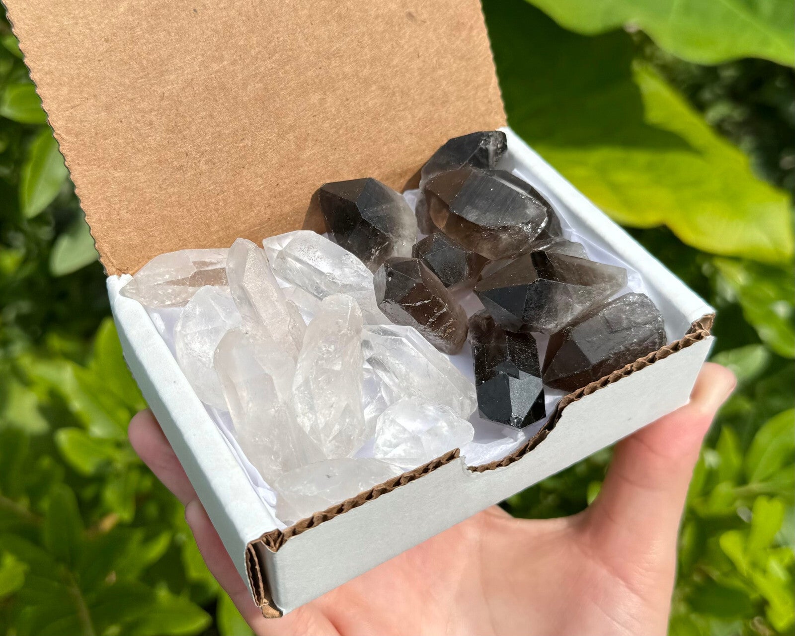 1/2 lb Bulk Smoky Quartz & Clear Quartz Crystal Collection Box (Natural Points)