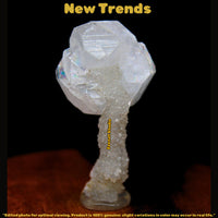 Bulk 16 Piece Natural Apophyllite Tips Pointed Cluster under 150g Wholesale lots