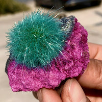 Dandelion Zeolite Quartz Crystal Cluster Mineral  Quartz Crystal Specimens Decor