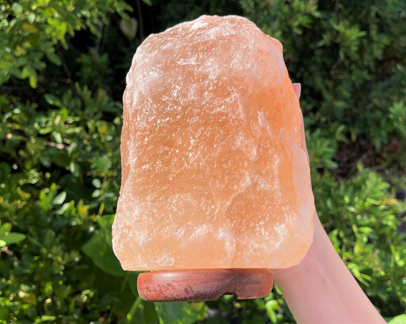 LARGE Natural Himalayan Salt Lamp, 8" Salt Rock Lamp + Chord/Bulb (Crystal Lamp)