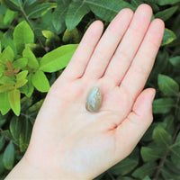 1 x Tumbled Stones : You Choose Type - Huge Range - ON SALE! (Crystal Healing)