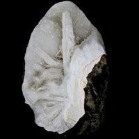 290g High-qualit Scolecite Spray 290g Zeolite Geode Crystal Cluster  Natural Mineral India