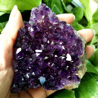 Large Natural Amethyst Cluster Quartz Crystal Druzy Geode Healing Stone Specimen