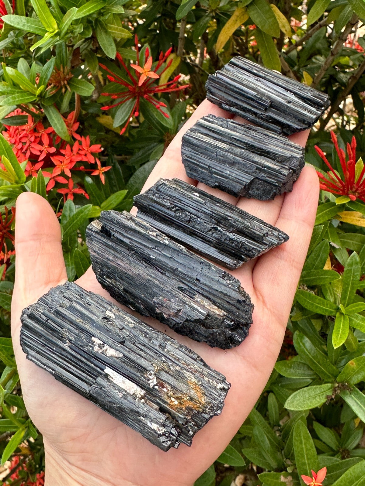 5 pcs Set Shiny Black Tourmaline Log, Grade A++ Natural Black Tourmaline Rod