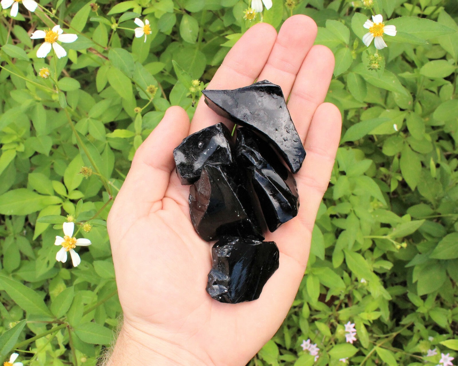 Raw Natural Black Obsidian Crystals: Choose How Many Pieces - Rough Obsidian