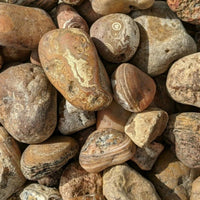 Bahia Agate - Large Rough Rocks for Tumbling - 2" - 3" - 1LB Bulk Wholesale